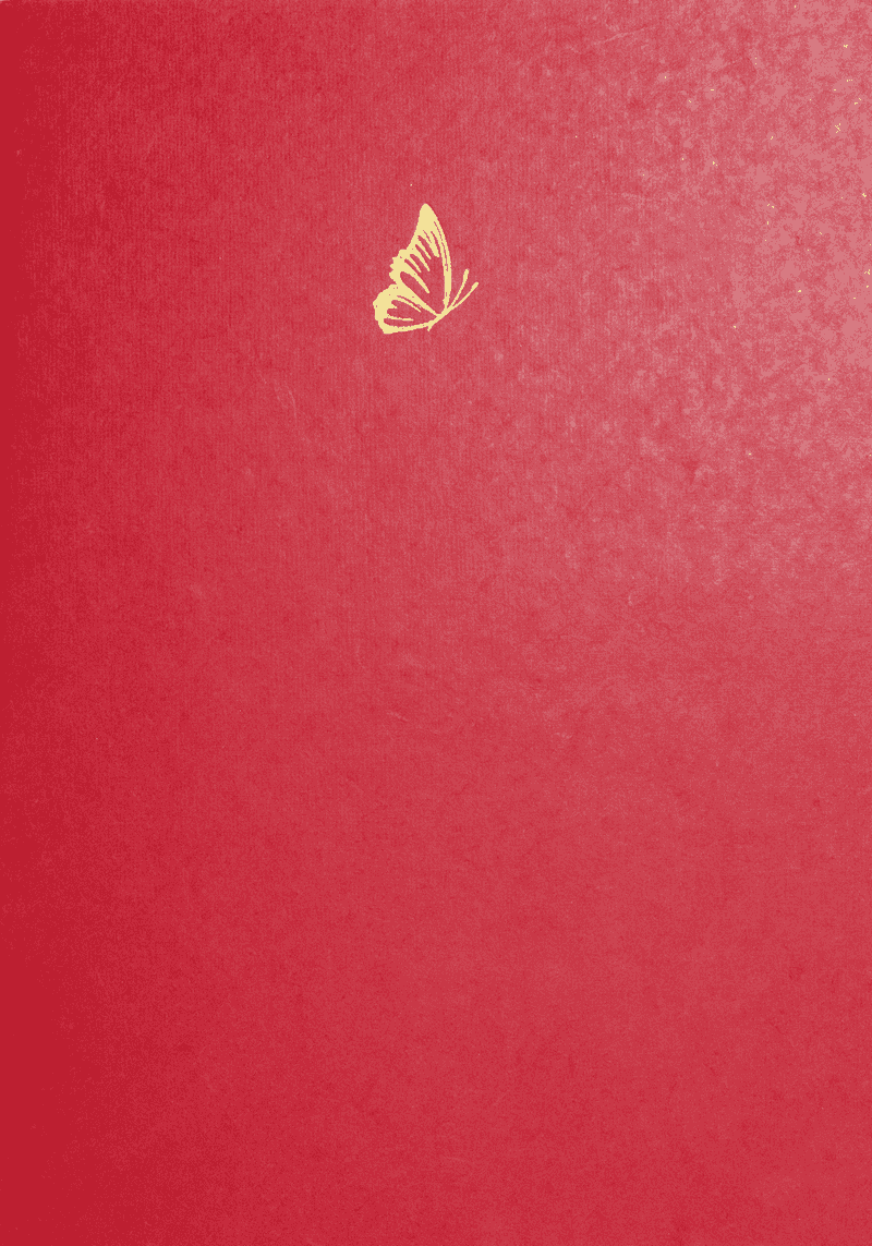gatsby-reaptthe-des-ecrivains-carnet-grand-format-empreinte-rouge