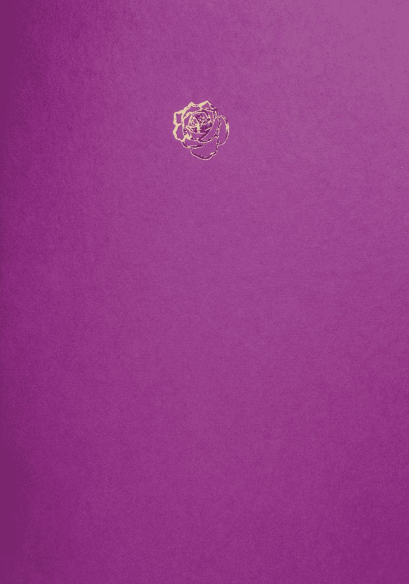 gatsby-reaptthe-des-ecrivains-large-format-notebook-empreinte-pink