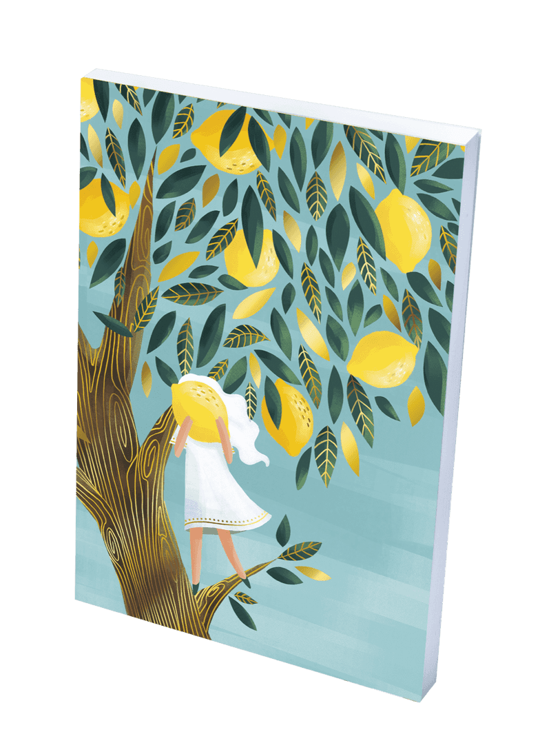 gatsby-reaptdans-les-nuages-made-in-france-a-5-notebook-lemon